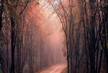 雷速体育：再破纪录！ATP1000迈阿密大师赛德约科维奇晋级男单四强@央视体育.