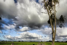 赖特：切尔西赛季结束很难保住前四，各方面现在都很糟糕.