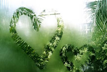 [CBA]常规赛3月5日：浙江方兴渡VS山西汾酒 胡金秋集锦.