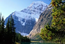 雷速体育：英超综合：布莱顿逼平曼城.