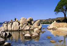 雷速体育：英超综合：布莱顿逼平曼城.